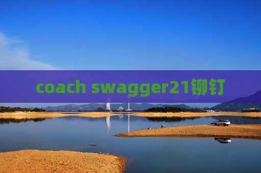 coach swagger21铆钉